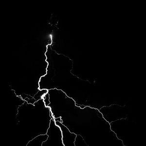 胖子男和胖熊Gay片
